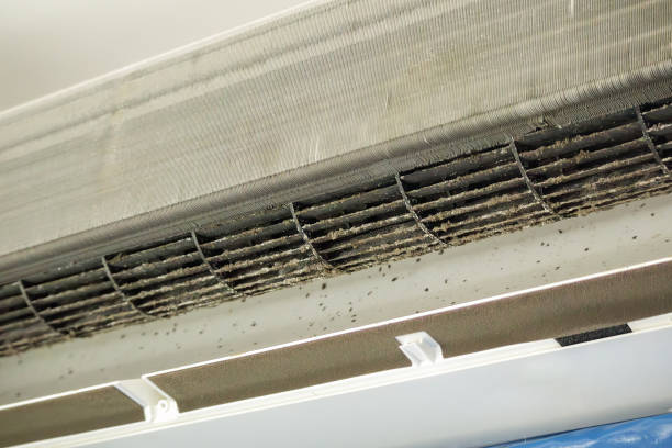 Best Affordable Air Duct Cleaning  in Yamhill, OR